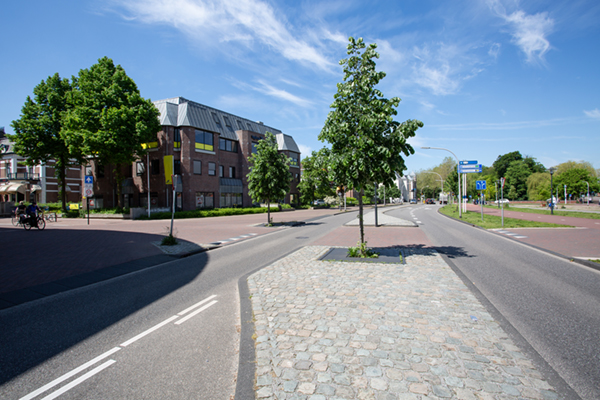 GreenBlue Urban RootSpace boombunker Groene Wal Deventer